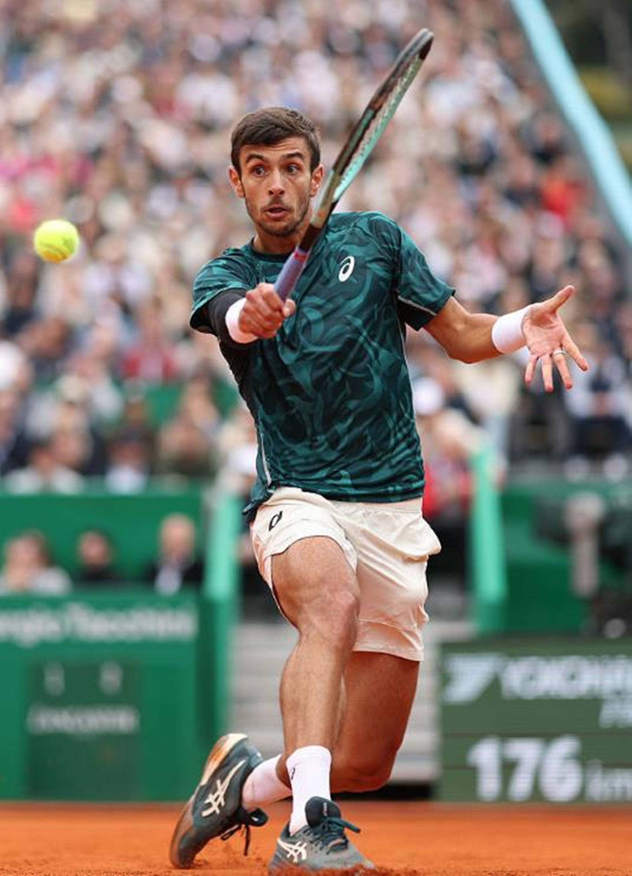 或许今天是 或许今天是